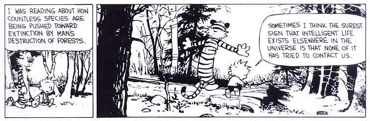 Calvin & Hobbes